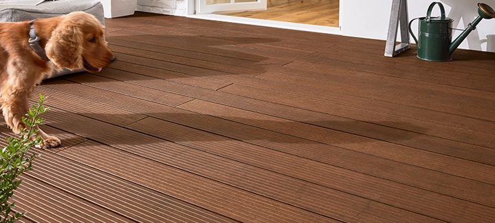 Eine braune Holzterrasse vor einem Haus. Ein Hund geht über die Terrasse, neben ihm stehen eine Gießkanne und eine grüne Pflanze.